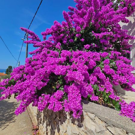 Silba Belvedere Ngoại thất bức ảnh